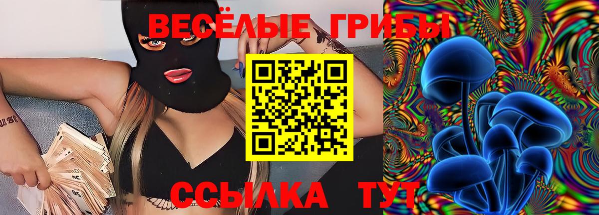 Псилоцибиновые грибы мицелий  Псилоцибиновые грибы мухоморы  купить наркоту  Каменка  Вход с VPN 